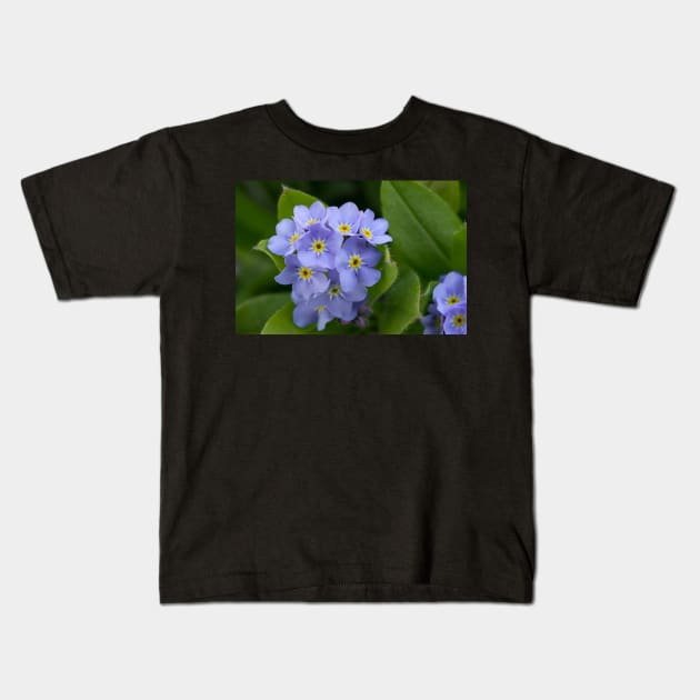 Forget Me Not Kids T-Shirt by rhintl